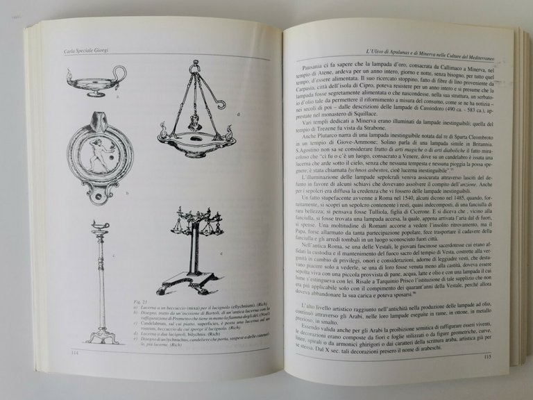 L’ULIVO DI APULUNAS E MINERVA NELLE CULTURE DEL MEDITERRANEO - …