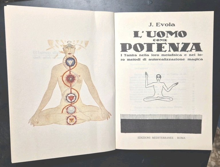L'UOMO COME POTENZA di Julius Evola 1988 Edizioni Mediterranee libro …
