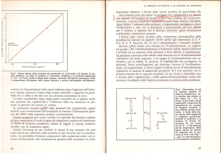 LA CELLULA METABOLISMO E REGOLAZIONE di Georges Cohen 1972 Mondadori …