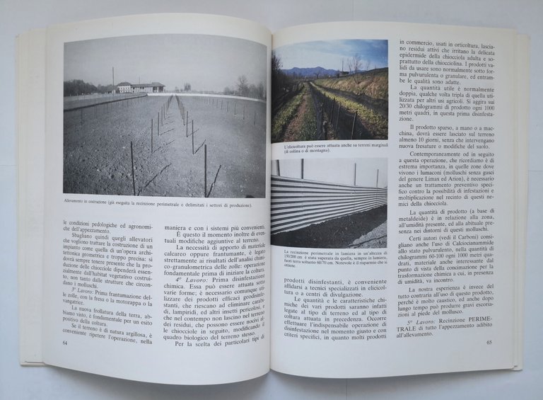 LA CHIOCCIOLA di Gianni Avagnina 2000 Calderini Edagricole Libro elicicoltura