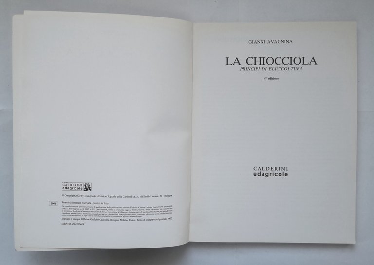 LA CHIOCCIOLA di Gianni Avagnina 2000 Calderini Edagricole Libro elicicoltura