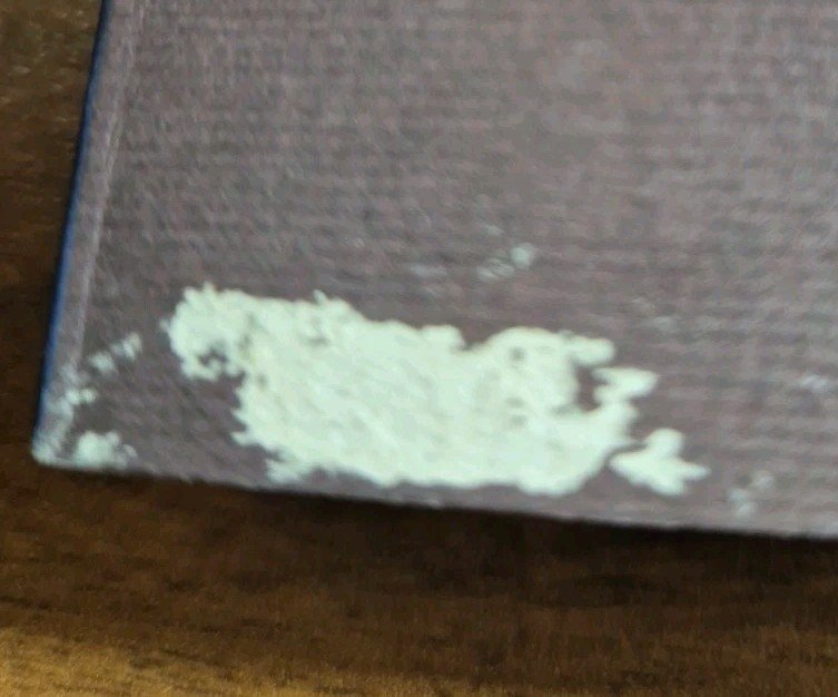 LA CLESSIDRA DI MUSSOLINI di Carlo de Risio 2000 Settimo …