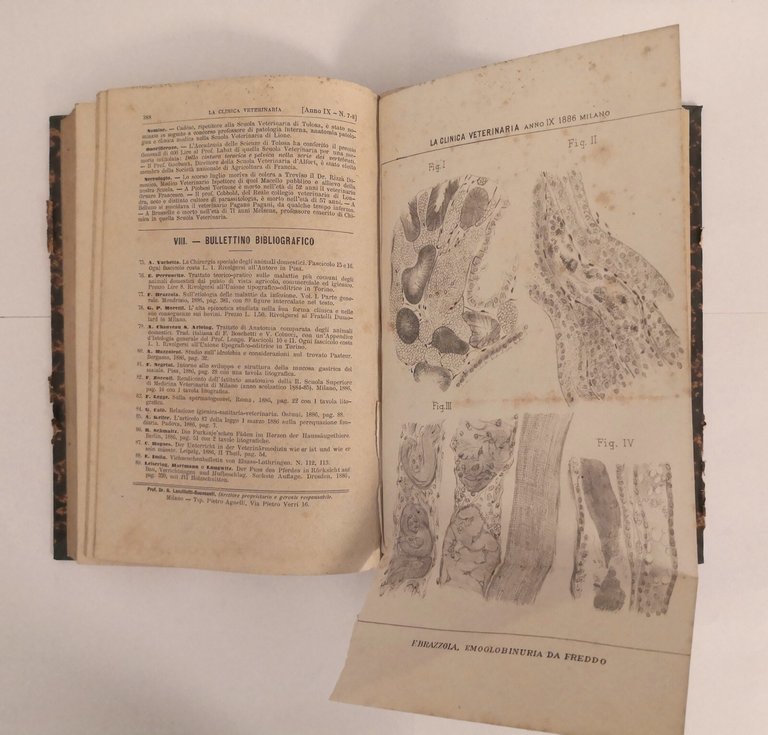 LA CLINICA VETERINARIA annata complet 1886 di Lanzillotti Buonsanti Libro …