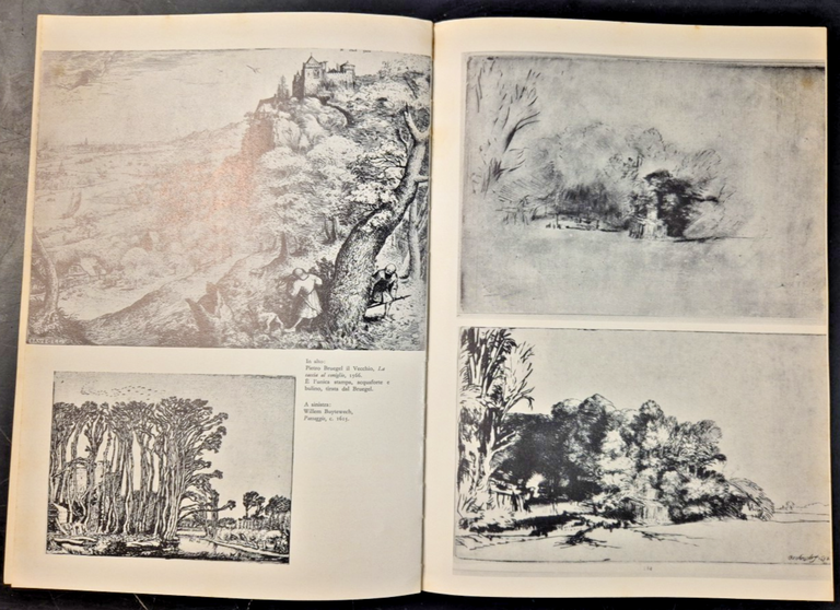 LA COLLEZIONE DI STAMPE DA DURER A PICASSO Ferdinando Salamon …