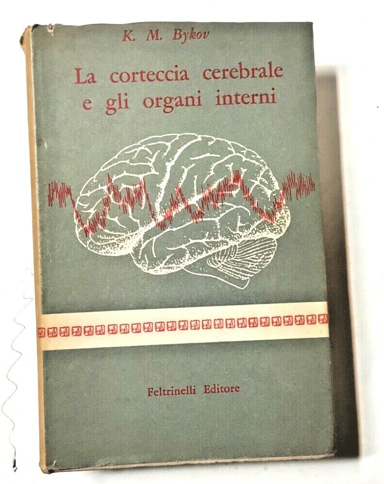 LA CORTECCIA CEREBRALE E GLI ORGANI INTERNI di K M …