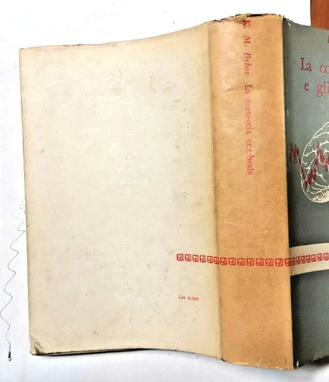 LA CORTECCIA CEREBRALE E GLI ORGANI INTERNI di K M …