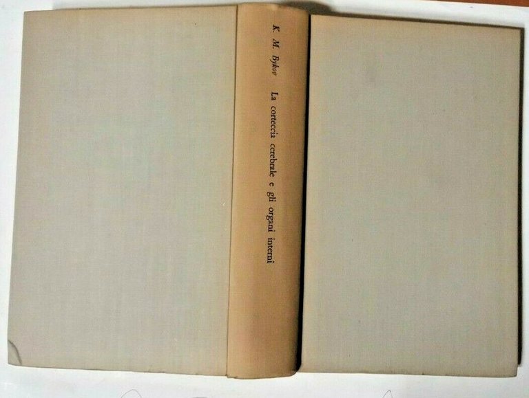 LA CORTECCIA CEREBRALE E GLI ORGANI INTERNI di K M …