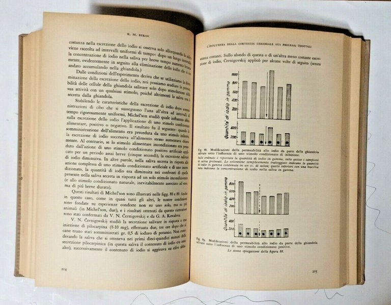 LA CORTECCIA CEREBRALE E GLI ORGANI INTERNI di K M …