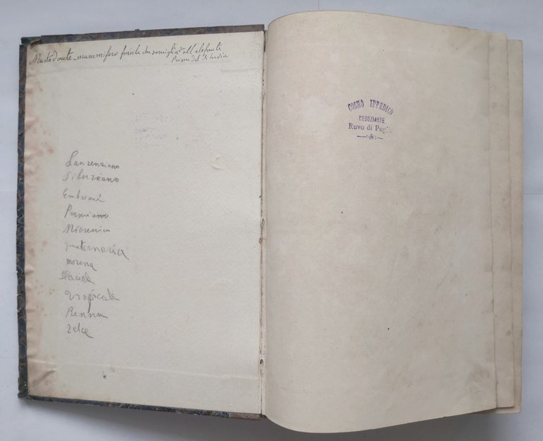 LA CREAZIONE NATURALE E GLI ESSERI VIVENTI di Giulio Rengade …