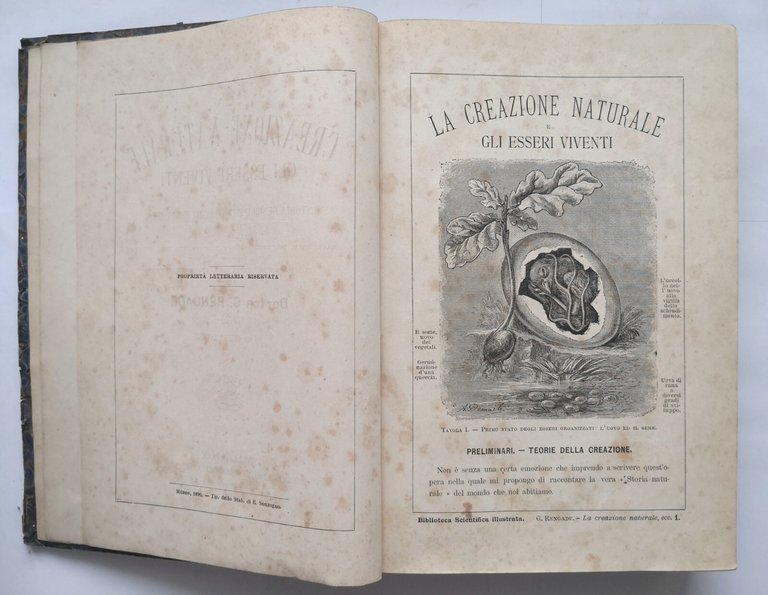 LA CREAZIONE NATURALE E GLI ESSERI VIVENTI di Giulio Rengade …