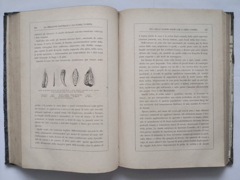 LA CREAZIONE NATURALE E GLI ESSERI VIVENTI di Giulio Rengade …