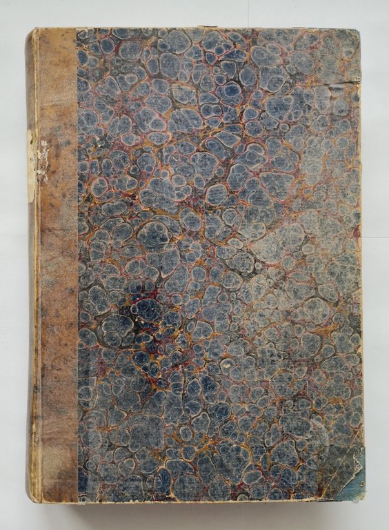 LA CREAZIONE NATURALE E GLI ESSERI VIVENTI di Giulio Rengade …