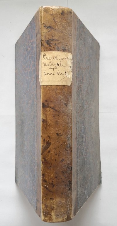 LA CREAZIONE NATURALE E GLI ESSERI VIVENTI di Giulio Rengade …