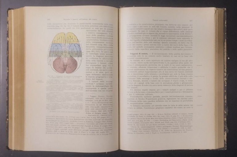 LA DIAGNOSI CLINICA DELLE MALATTIE INTERNE VOLUME III di Ferrio …