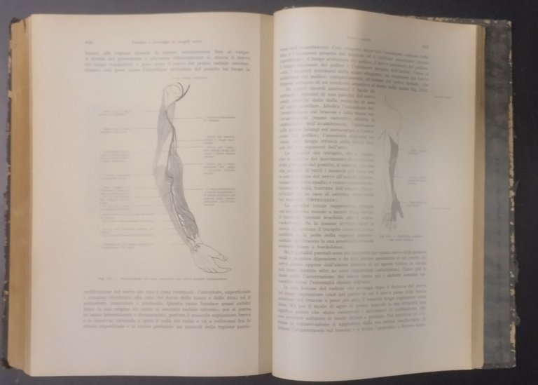 LA DIAGNOSI CLINICA DELLE MALATTIE INTERNE VOLUME III di Ferrio …