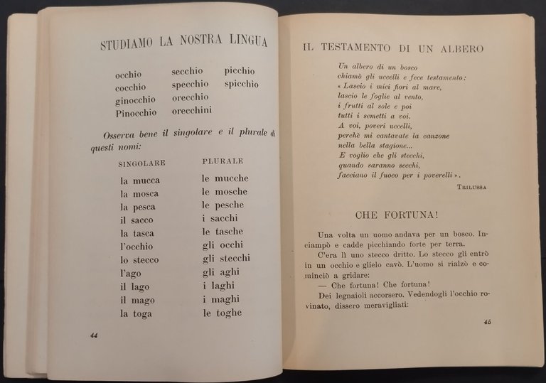 LA DOLCE FATICA prime letture corsi popolari di Vera Cottarelli …