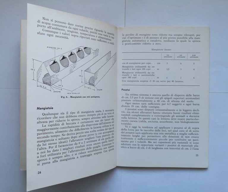 LA FARAONA DA CARNE di Tarocco e Gagalli 1976 Edizioni …