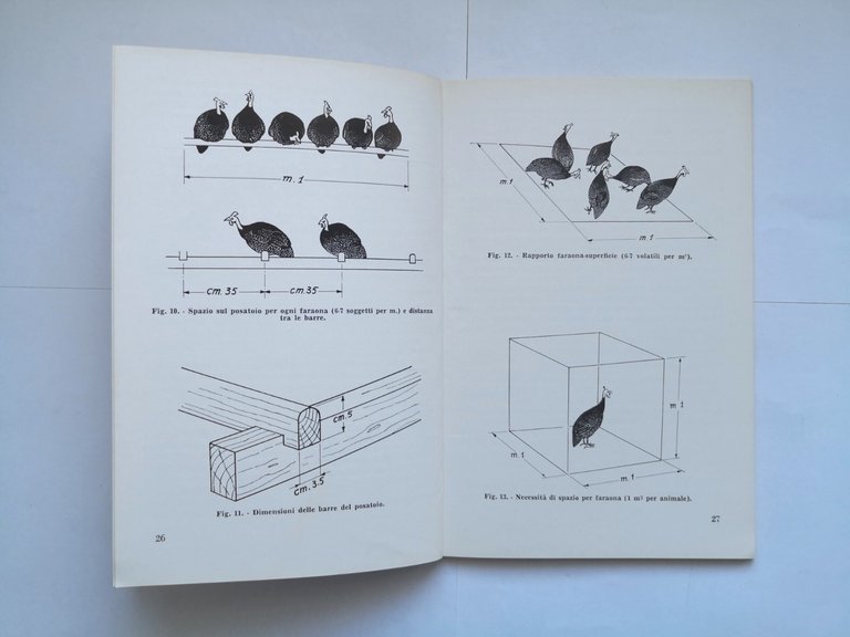 LA FARAONA DA CARNE di Tarocco e Gagalli 1976 Edizioni …