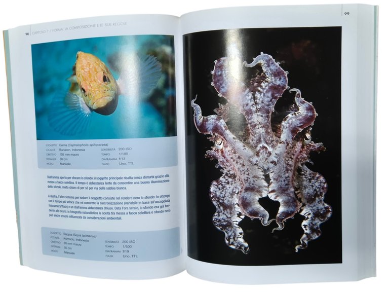 LA FOTOGRAFIA NATURALISTICA SUBACQUEA di Massimo Boyer 2014 Magenes Libro | Immagine Gallery 3