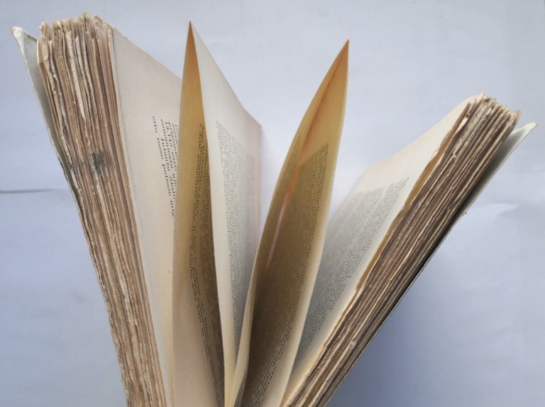 LA GUERRA MODERNA di Carlo de Rysky 1942 Principato libro …