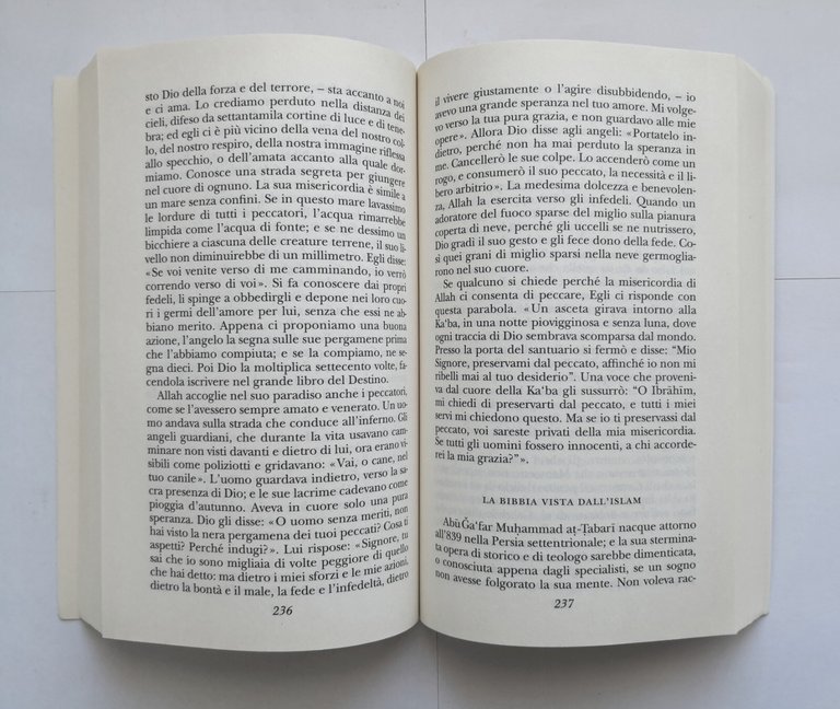 LA LUCE DELLA NOTTE di Pietro Citati 2009 Adelphi libro …