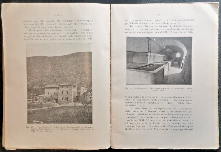 LA MACERAZIONE INDUSTRIALE PIANTE TESSILE CON BACILLUS di Domenico Carbone …