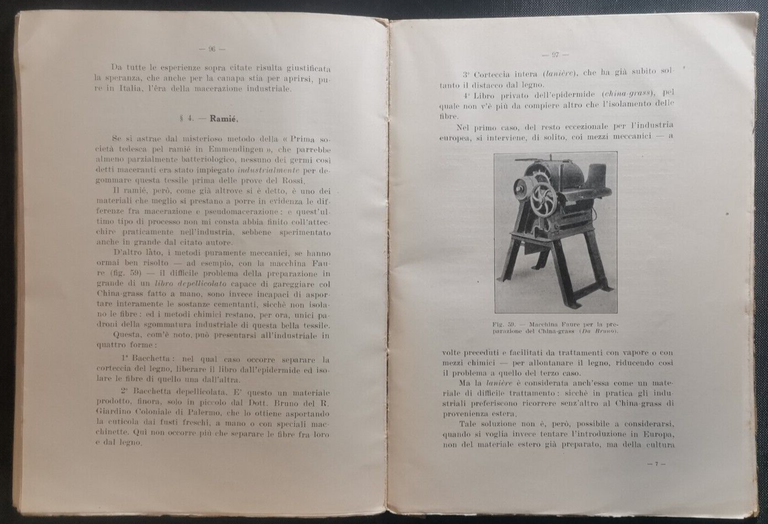 LA MACERAZIONE INDUSTRIALE PIANTE TESSILE CON BACILLUS di Domenico Carbone …