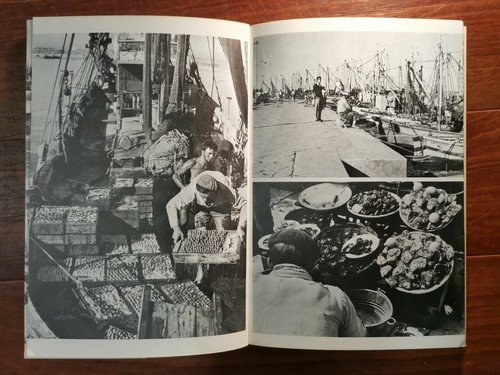 La Mia Puglia di Gianni Custodero 1969 Japigia libro illustrato …