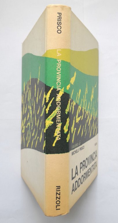 LA PROVINCIA ADDORMENTATA di Michele Prisco 1969 Rizzoli Libro I …