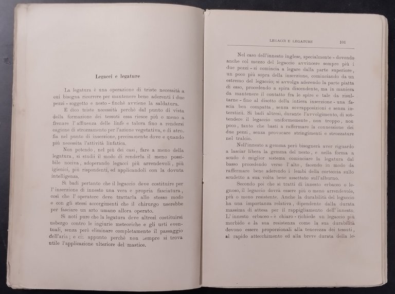 LA RICOSTITUZIONE DEI VIGNETI FILLOSSERATI di Guttuso Fasulo 1906 Reber …