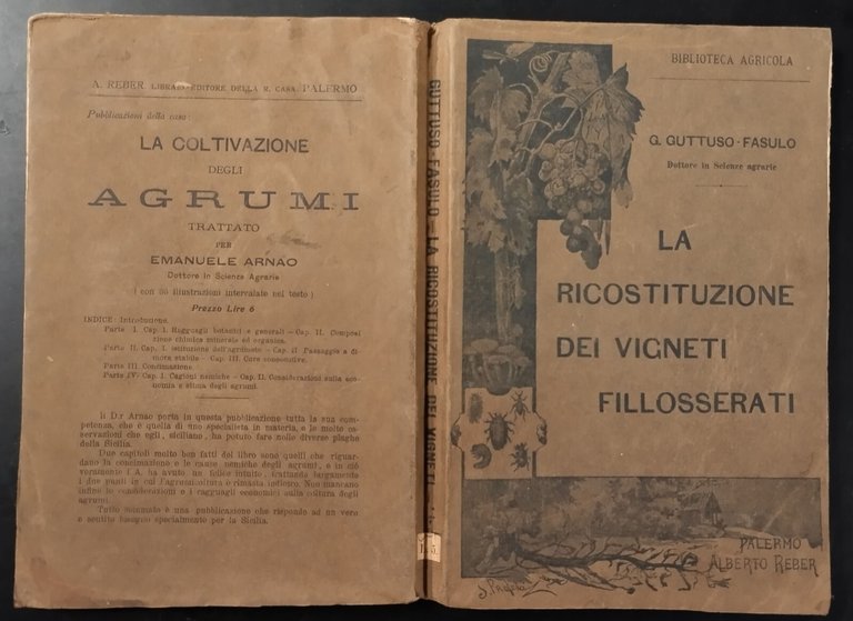 LA RICOSTITUZIONE DEI VIGNETI FILLOSSERATI di Guttuso Fasulo 1906 Reber …
