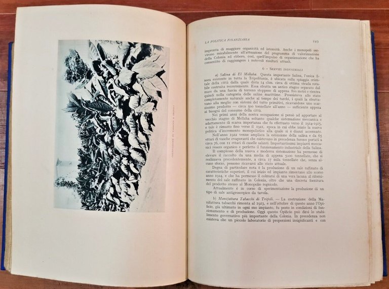 LA RINASCITA DELLA TRIPOLITANIA 1926 Mondadori Libro Africa Italiana Fascismo