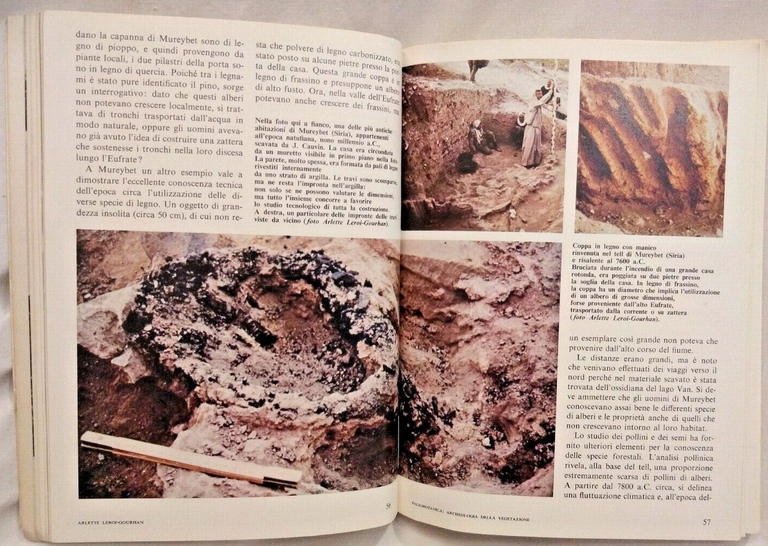 LA RISCOPERTA DELLA PREISTORIA di Barrau Chavaillon Constantin Dodonov 1979 …