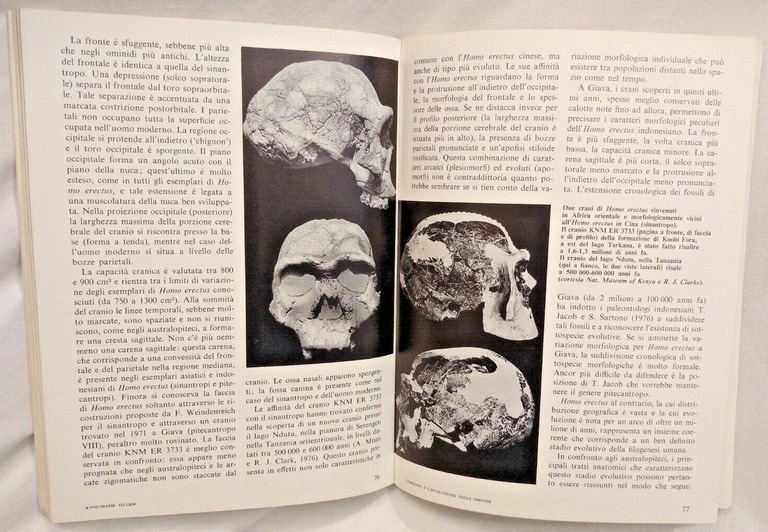 LA RISCOPERTA DELLA PREISTORIA di Barrau Chavaillon Constantin Dodonov 1979 …