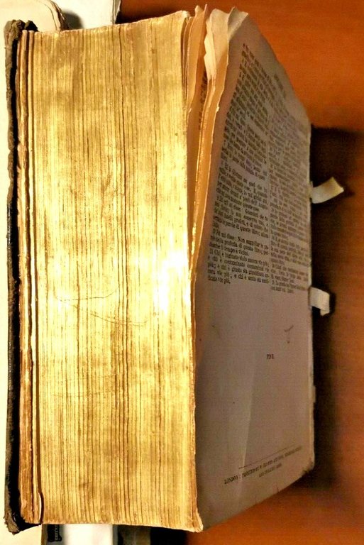 LA SACRA BIBBIA di Giovanni Diodati 1859 ossia antico e …
