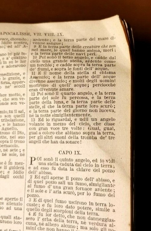 LA SACRA BIBBIA di Giovanni Diodati 1859 ossia antico e …