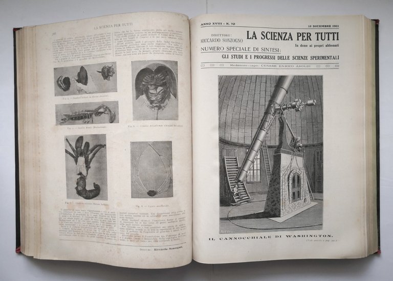 LA SCIENZA PER TUTTI annata completa 1911 volume 3 Sonzogno …