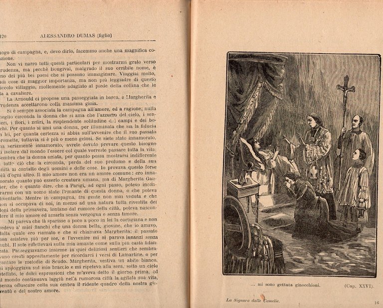 LA SIGNORA DALLE CAMELIE di Alessandro Dumas Libro illustrato romanzo
