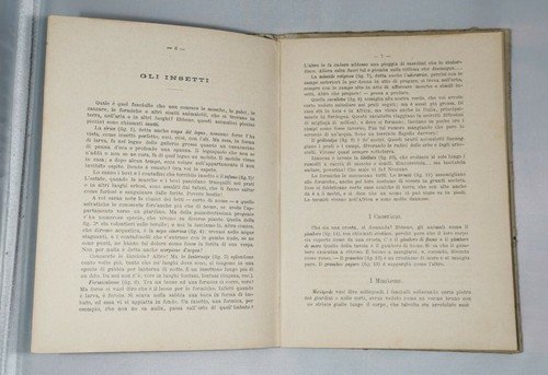 LA STORIA NATURALE crostacei molluschi di Fornari 1892 libro scolastico …