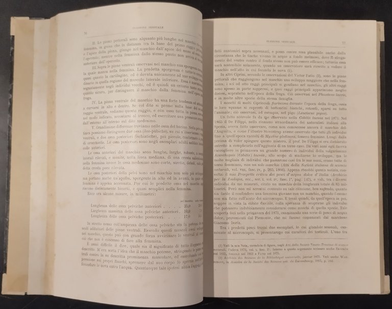 LA TEORIA DELL'EVOLUZIONE ESPOSTA NE SUOI FONDAMENTI Canestrini 1887 UTET …