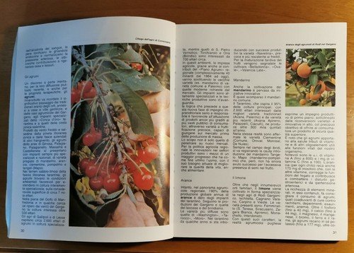 La terra dell'ulivo Guida enogastronomica della Puglia 1993 Mario Adda …