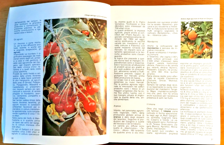 La terra dell'ulivo Guida enogastronomica della Puglia 1993 Mario Adda … | Immagine Gallery 2