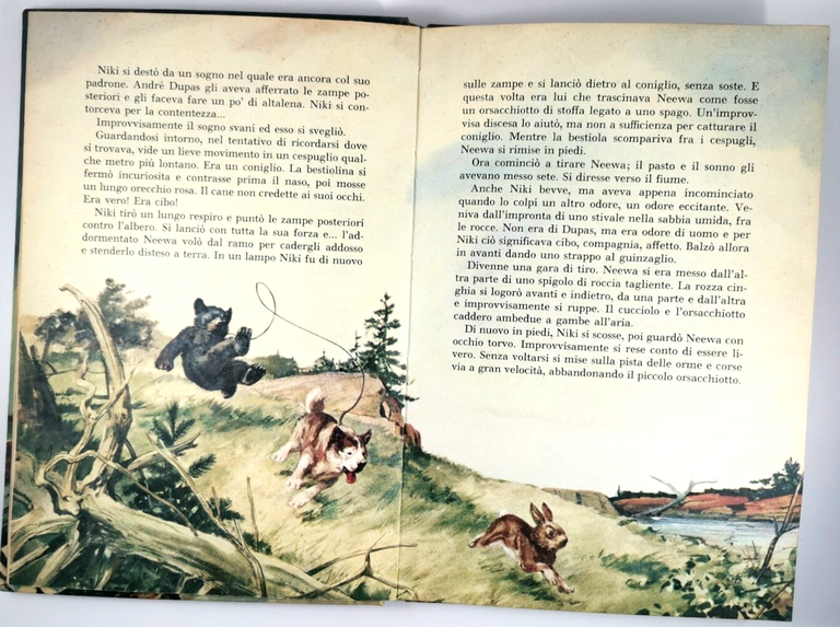 LA TRAPPOLA DI GHIACCIO di Walt Disney 1962 libro illustrato …
