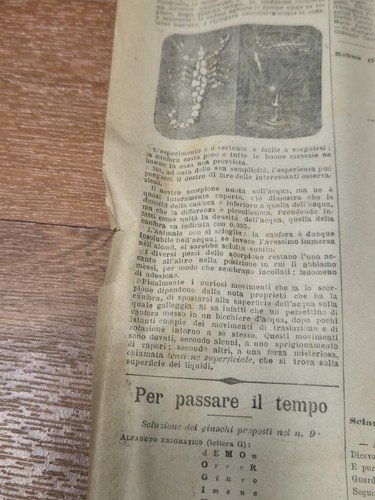 LA TRIBUNA supplemento ILLUSTRATO DELLA DOMENICA 15 marzo 1896 Giornale …