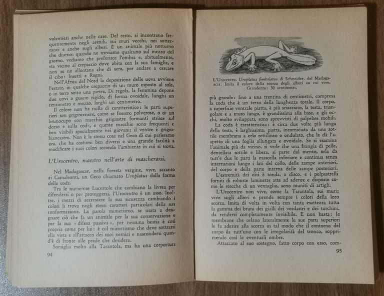 LA VITA DEL CAMALEONTE E DI ALTRE LUCERTOLE di F …