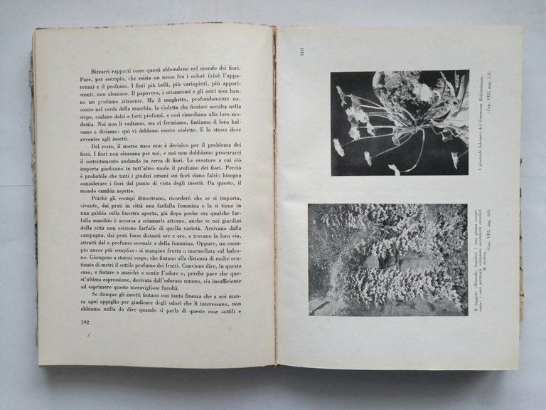 LA VITA DELLE PIANTE di Raoul Francé 1933 Genio Libro …