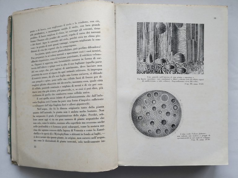 LA VITA DELLE PIANTE di Raoul Francé 1933 Genio Libro …