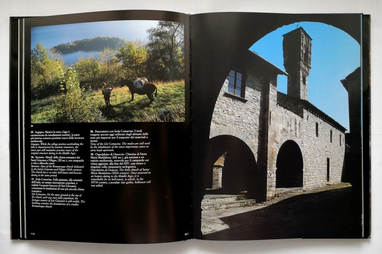 LARIO ACQUE DORATE di Enzo Pifferi e Domitilla Gerli 1988 …
