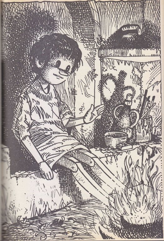 LE AVVENTURE DI PINOCCHIO Carlo Collodi 1981 Mondadori libro illustrato …