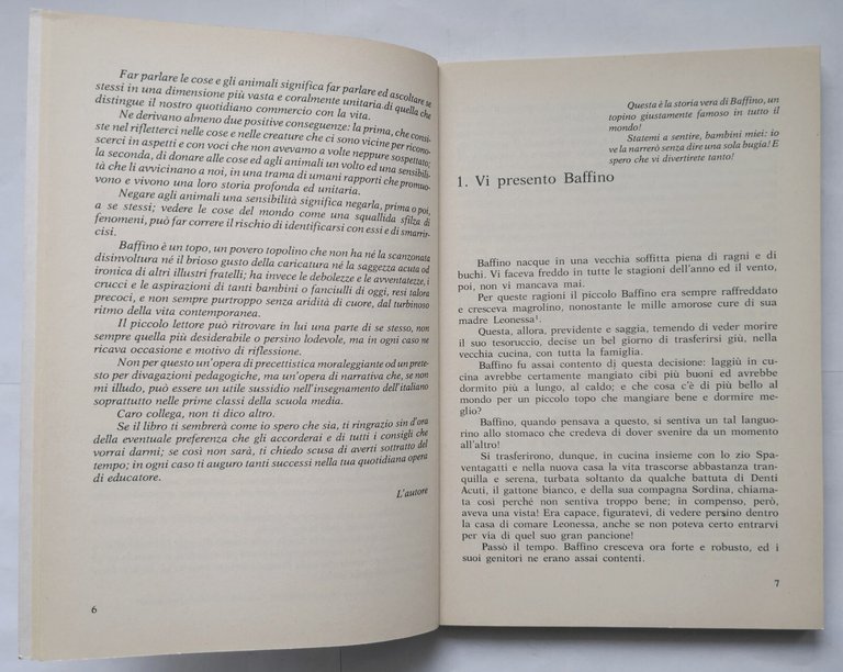 LE AVVENTURE DI UN PICCOLO EROE Giuseppe D'Errico 1980 Loffredo …